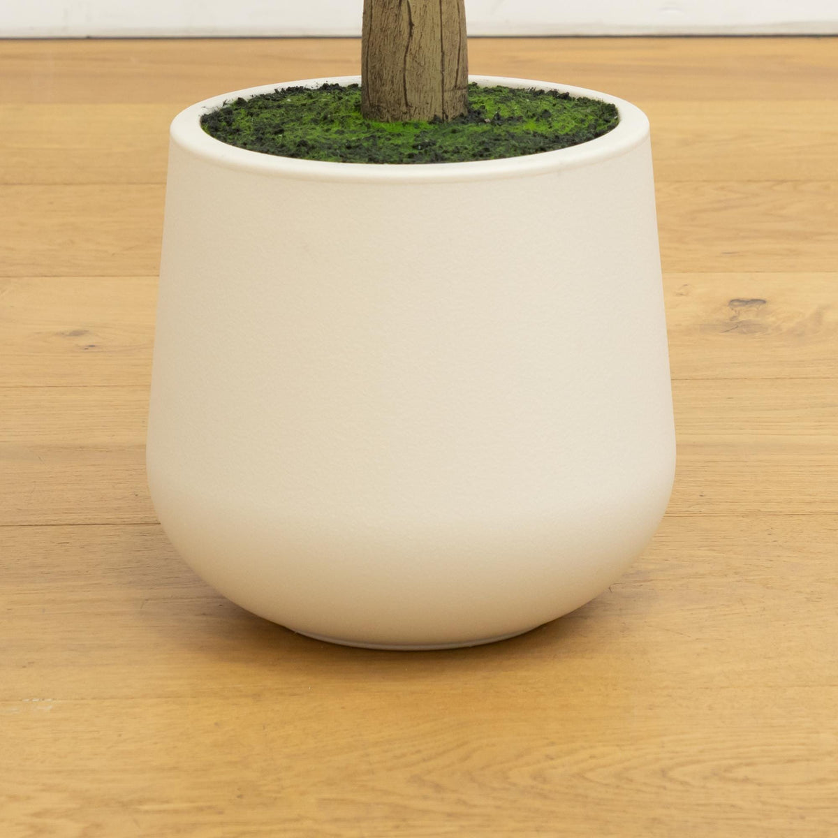 6’ Artificial Olive Tree in White Decorative Planter