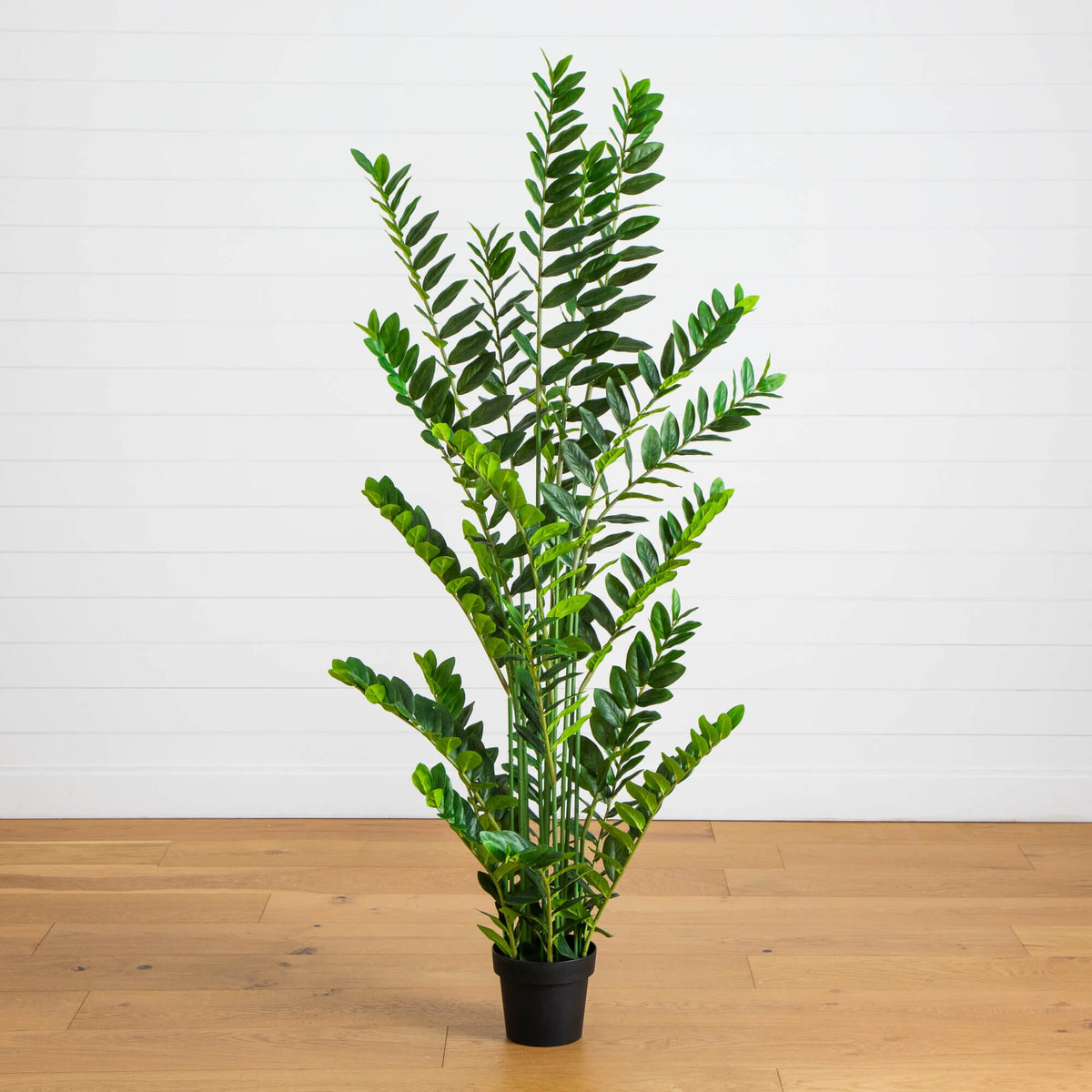 6' Artificial Zamioculcas Plant