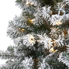 6' Flocked Rock Springs Spruce Artificial Christmas Tree with 250 Clear LED Lights - Ornate Home