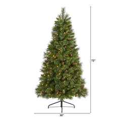 6’ Golden Tip Washington Pine Artificial Christmas Tree with 250 Clear Lights, Pine Cones and 750 Bendable Branches - Ornate Home