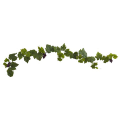 6’ Grape Leaf Deluxe Garland w/Grapes (Set of 2) - Ornate Home
