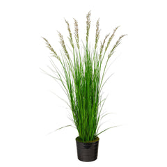 6’ Grass Artificial Plant in Black Tin Planter with Faux Moss - Ornate Home