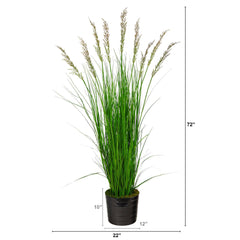 6’ Grass Artificial Plant in Black Tin Planter with Faux Moss - Ornate Home