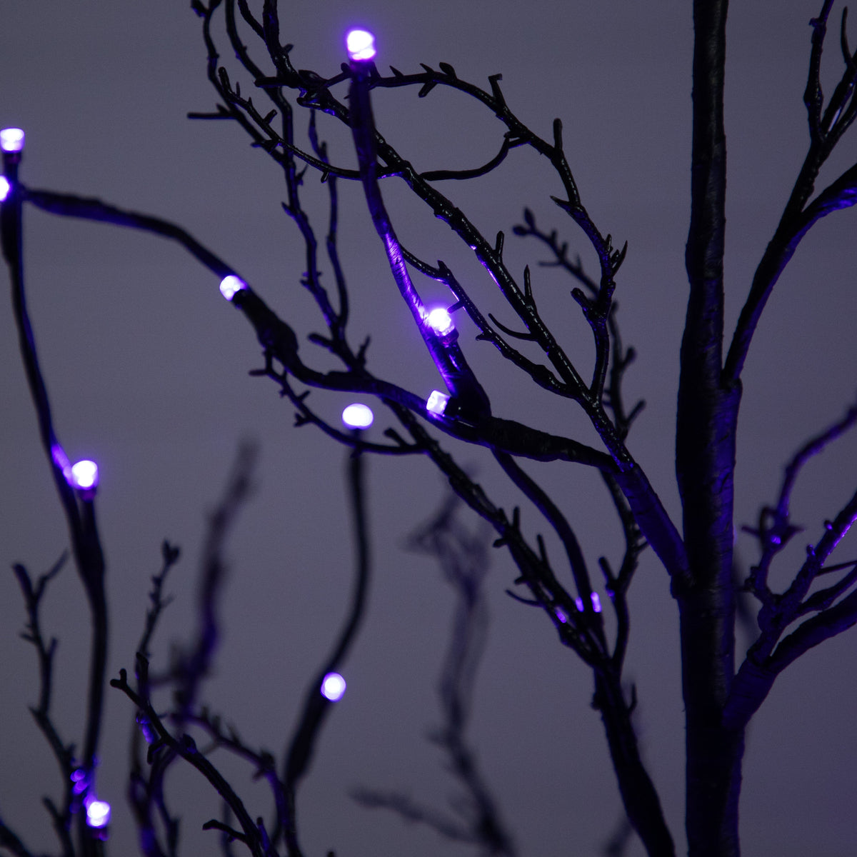6’ Pre-Lit Halloween Black Twig Artificial Tree with 300 Orange & Purple LED Lights