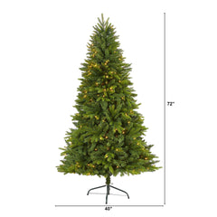 6' Sun Valley Fir Artificial Christmas Tree with 300 Clear LED Lights - Ornate Home
