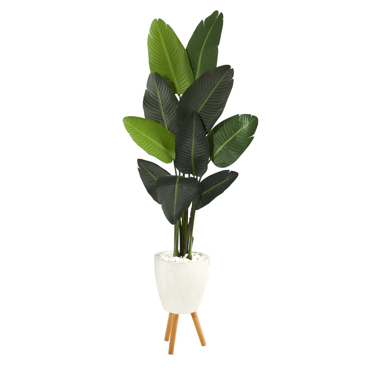 6’ Traveler's Palm Artificial Tree in White Planter with Stand