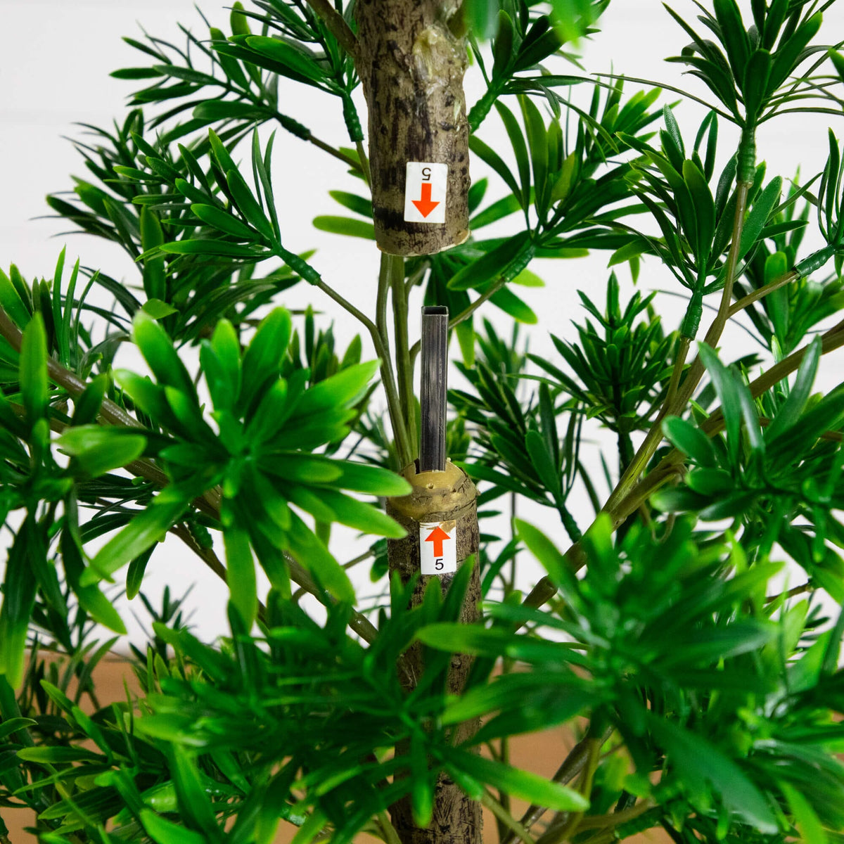 6' UV Artificial Podocarpus Artificial Tree (Indoor/Outdoor)