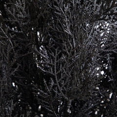 6' UV Resistant Artificial Halloween Black Cedar Tree (Indoor/Outdoor) - Ornate Home