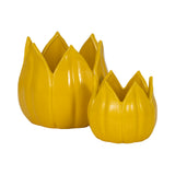 Gentrywind Yellow Petal Planters (Set of 2)