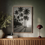 Palm Shadows at Sunrise