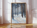 A Path Through Winter's Embrace