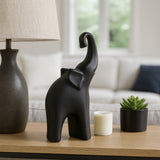 Chapinrose Black Decor