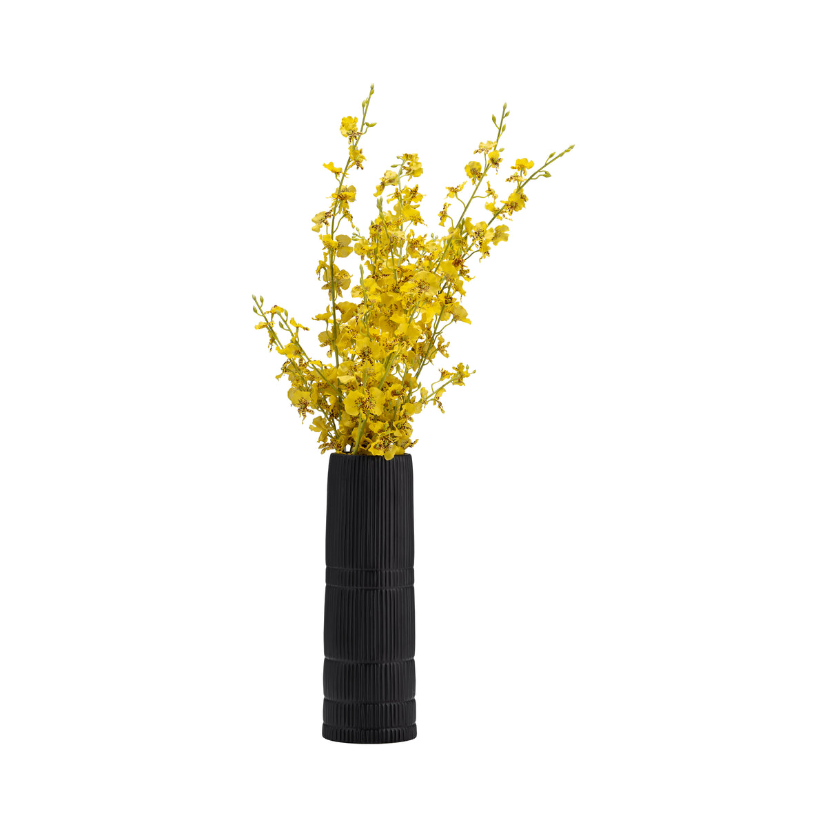 Rollingwood Matte Black Ceramic Lined Cylinder Vase