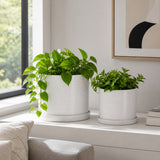 Reedburn White Planters (Set of 2)