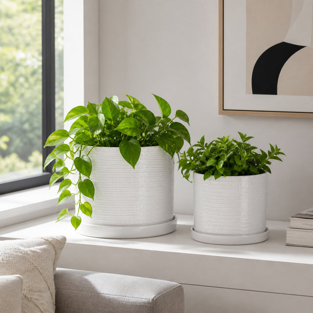 Reedburn White Planters (Set of 2)