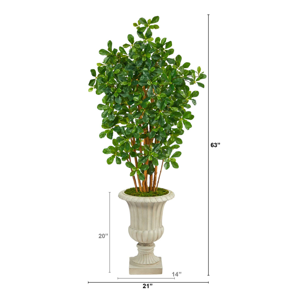 63” Black Olive Artificial Tree in Sand Finished Urn
