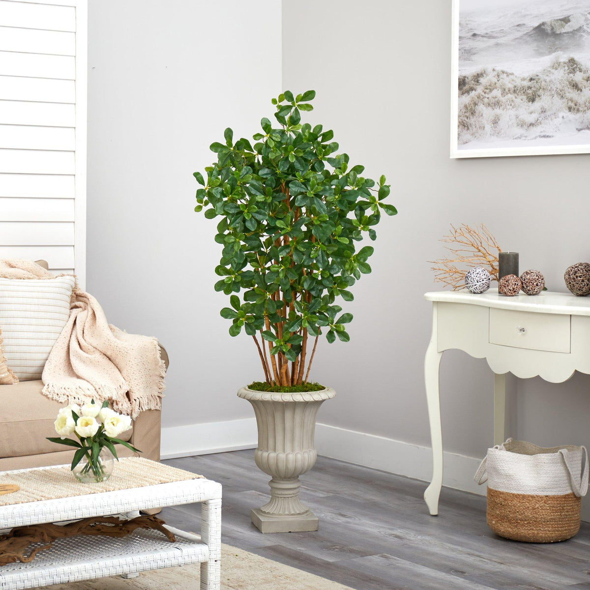 63” Black Olive Artificial Tree in Sand Finished Urn