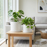 Deckerford White Planters (Set of 2)