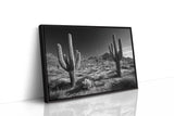 Sentinels of the Sonoran