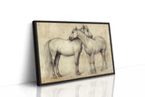 Equine Companionship Study