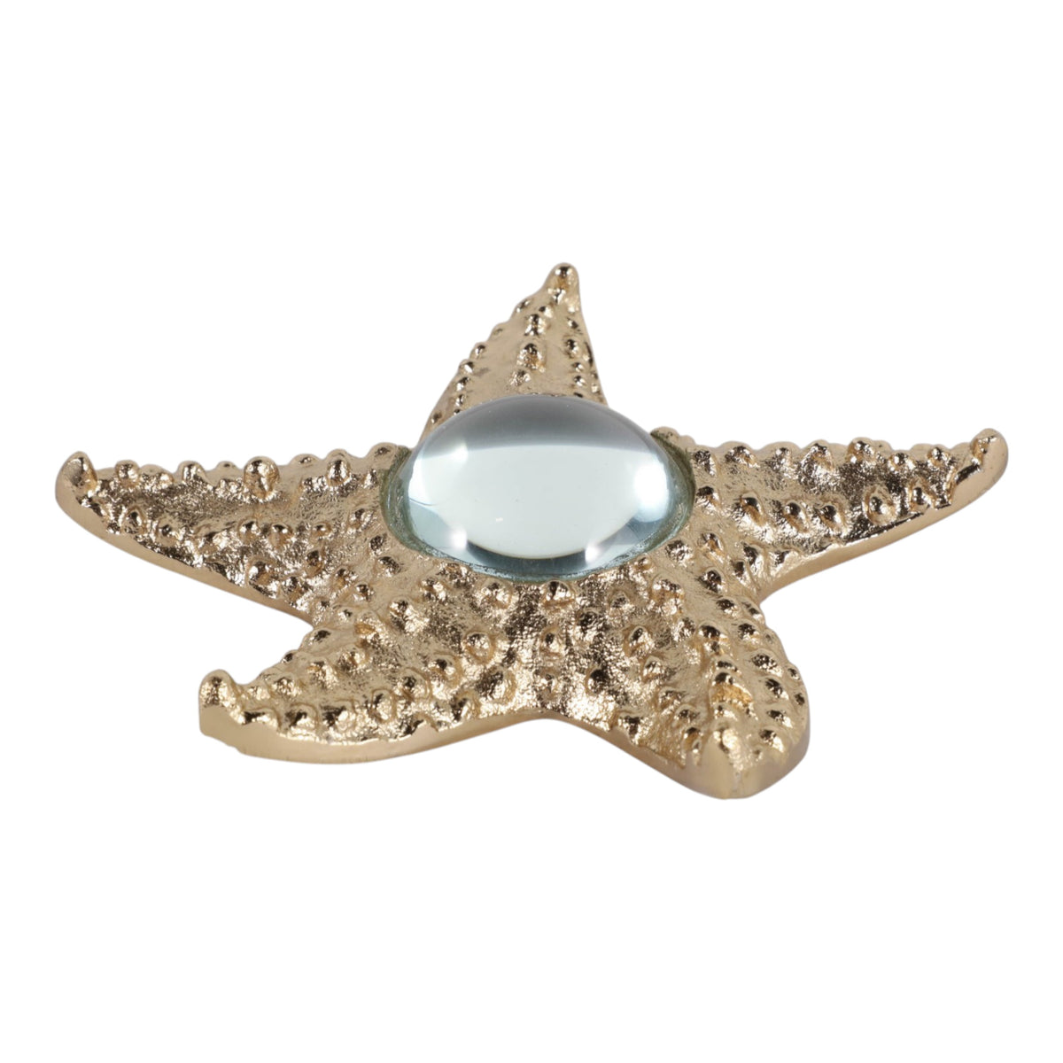 Edgarview Gold/Clear Decor