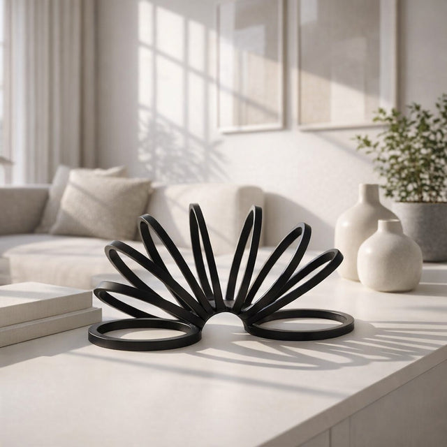 Colusa Black Metal Slinky Ring Decor