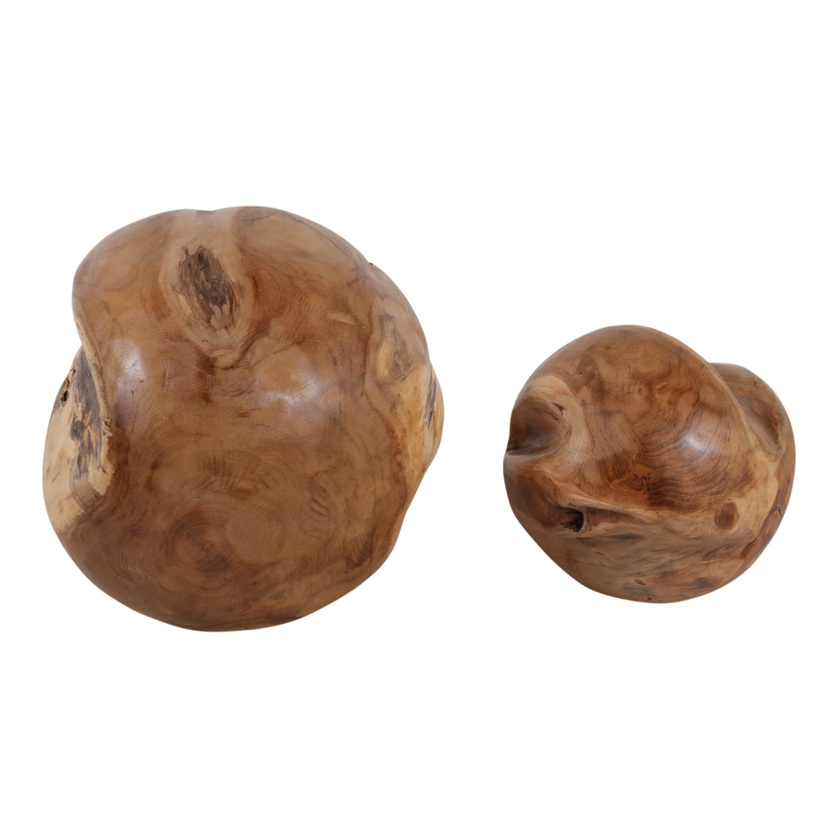 Worswick Natural Teak Root Orbs (Set of 2)