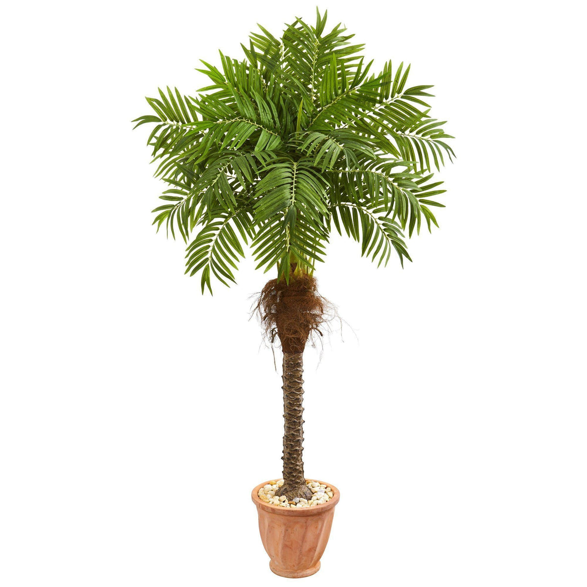 68” Robellini Palm Artificial Tree in Terra Cotta Planter
