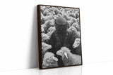 Astronaut Among the Sheep