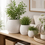Hiltoncliff Ivory Planters (Set of 3)