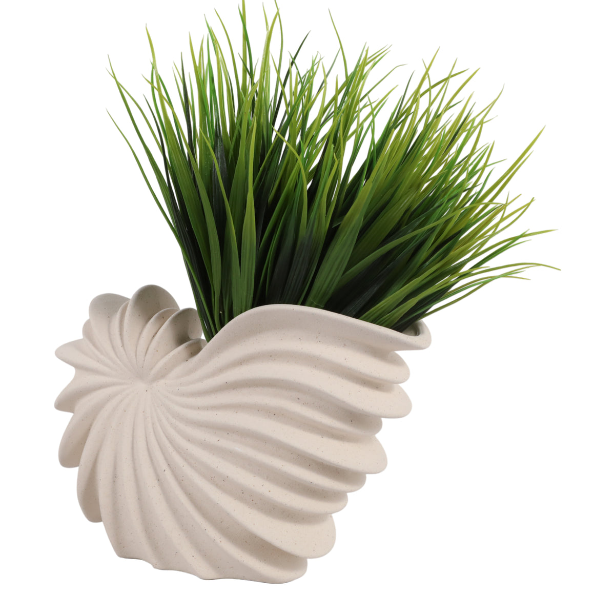Amesti White Ribbed Shell