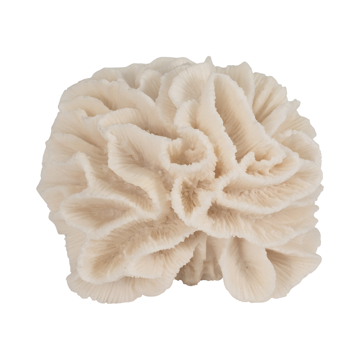 Brainard Ivory Petal Coral
