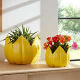 Gentrywind Yellow Planters (Set of 2)