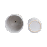 Fionaoak Ivory/White/Tan Planters (Set of 2)