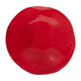 Cedar Stock Red Wood Toadstool Mushroom