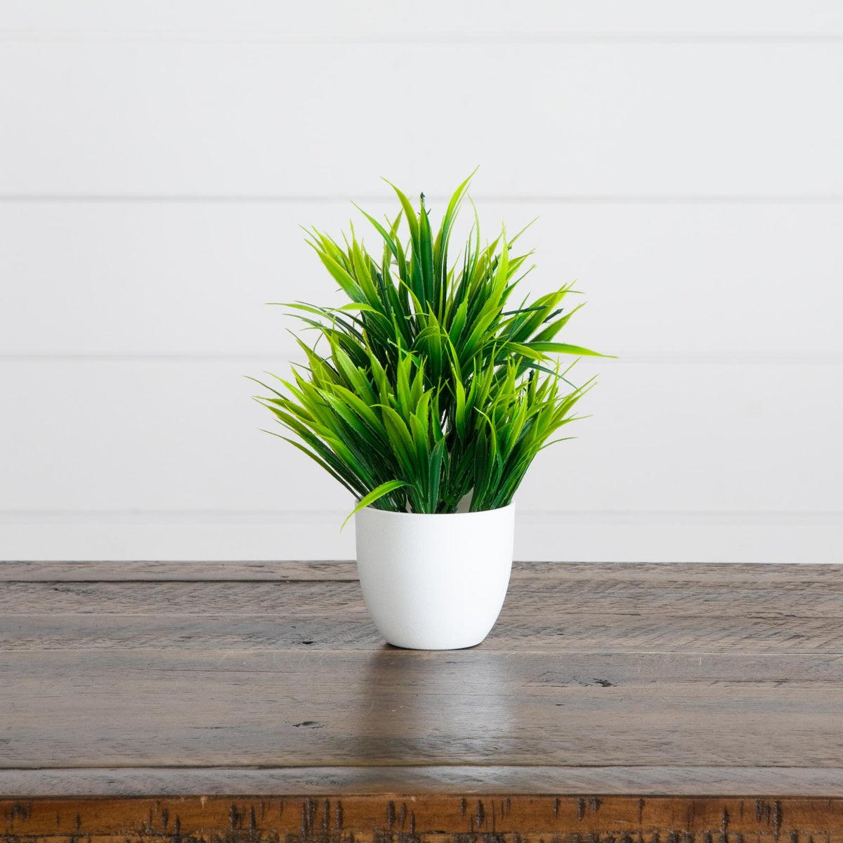 7” Artificial Mixed Evergreen Plant in White Round Pot - Set of 3