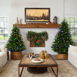 7' Pre-Lit Artificial Luxembourg Pine Christmas Tree with 340 Multicolored Traditional Bulb LED Lights