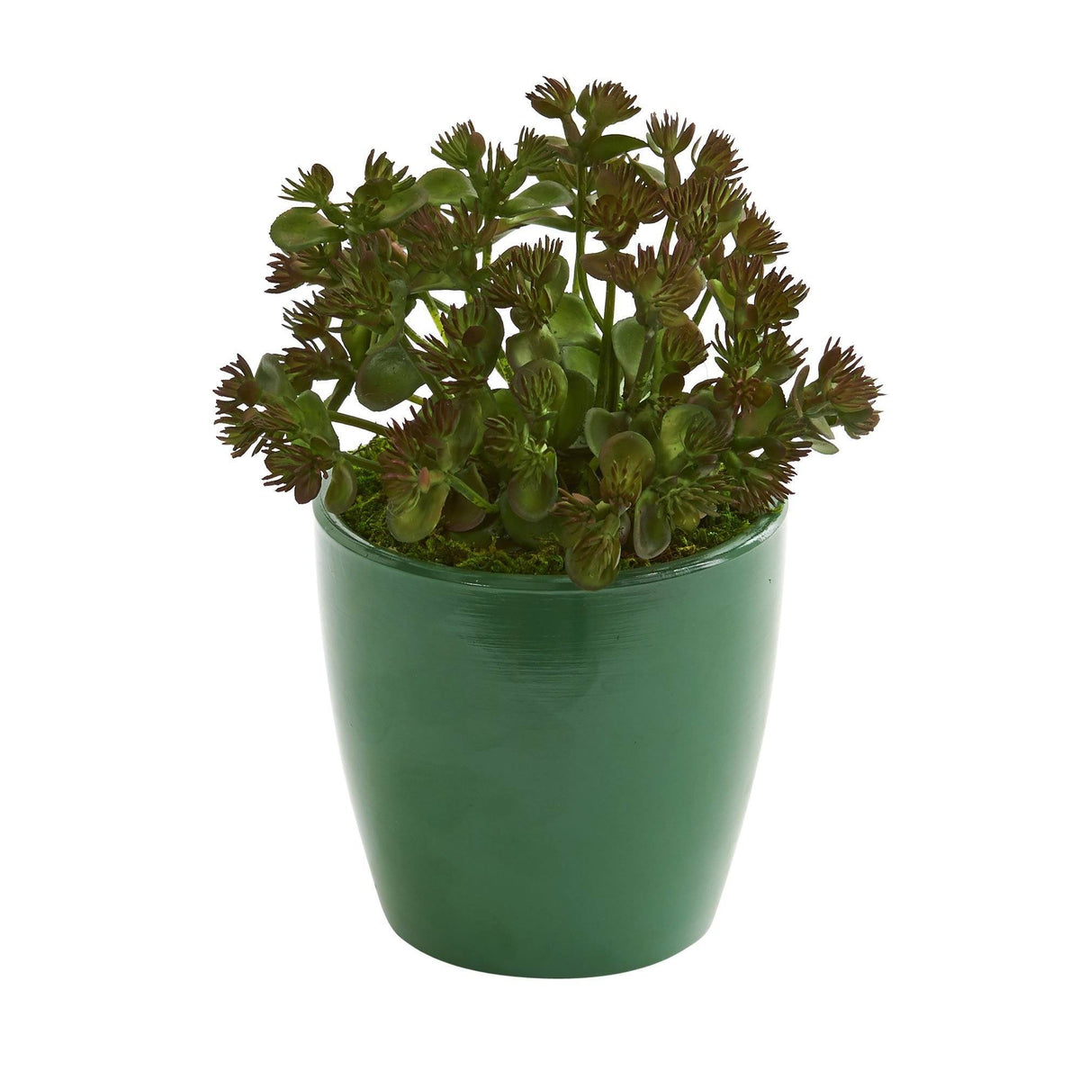 7" Sedum Succulent Artificial Plant in Green Planter (Set of 2)"