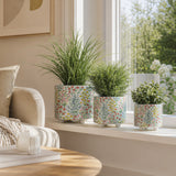 Elmmore Yellow/Blue Planters (Set of 3)
