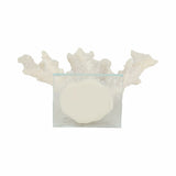Slaterview White Branching Coral on Glass Base