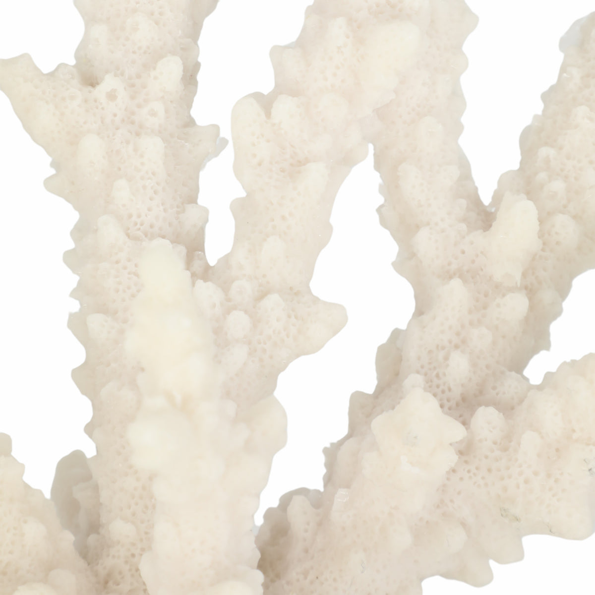 Slaterview White Branching Coral on Glass Base