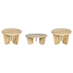 Dale Natural Mango Coffee Table Set