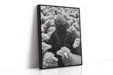 Astronaut Among the Sheep
