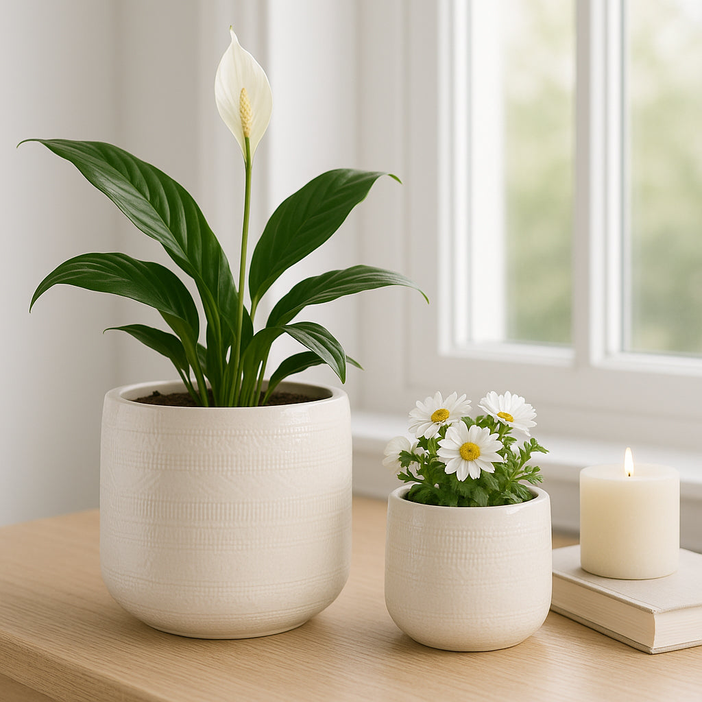 Peytonlake White Planters (Set of 2)