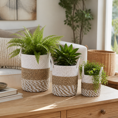 Burtongrove Brown/White Planters (Set of 3)