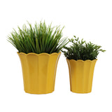 Deangrove Yellow Planters (Set of 2)