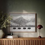 Where the Buffalo Roam