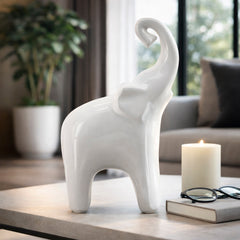 Chapinrose White Decor