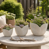 Winton White Tulip Paper Mache Planters (Set of 3)