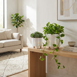 Silverado Ivory Iridescent Line Footed Planters (Set of 2)
